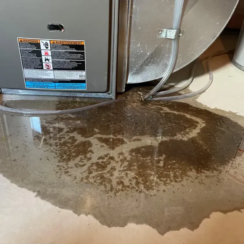 Appliance Leak Cleanup in Douglas, IL